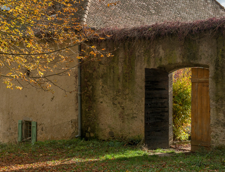 Adieu Accarias Bonjour Cornillon