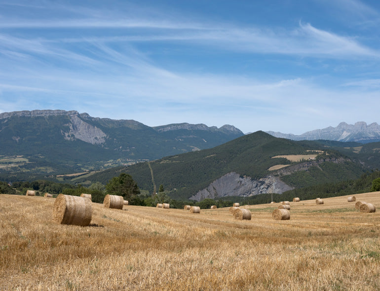 Le goût du terroir, Whisky Magazine