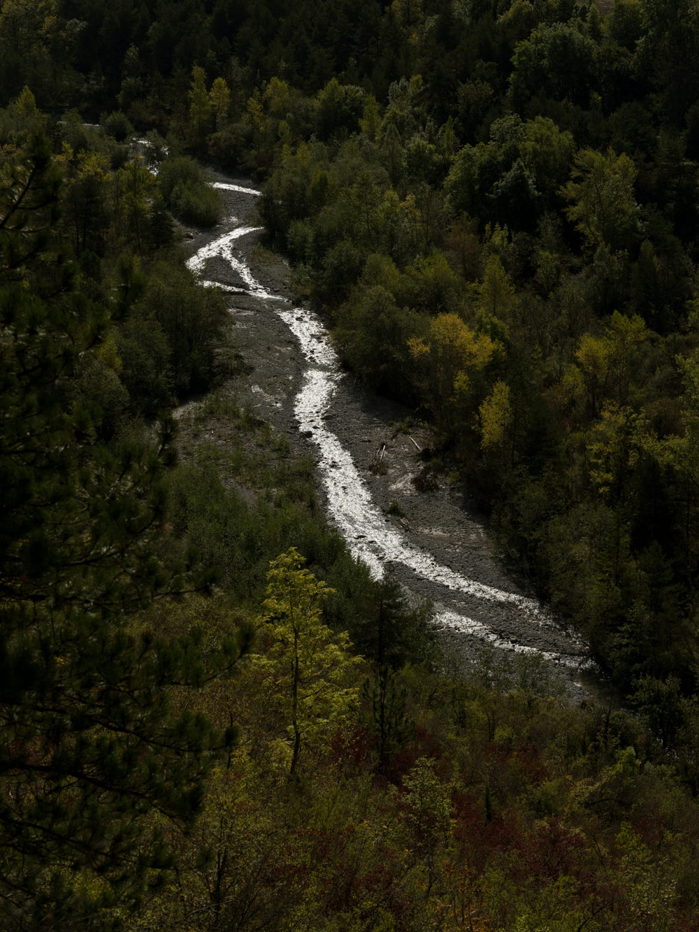 La rivière coule au milieu de ces forêts de montagne. Le symbole d'une nature fertile et d'un territoire en mouvement.