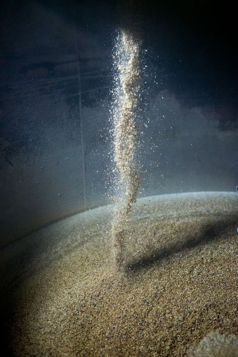  Image du fil de grains qui tombe dans un tonneau