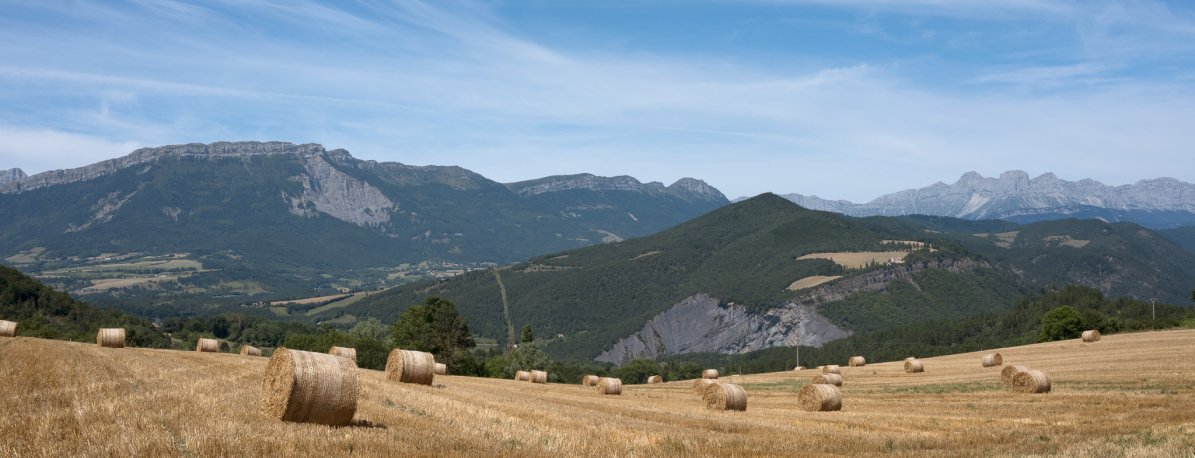 Image d’un champ de blé coupé et mis en rouleaux, avec des montagnes au fond 