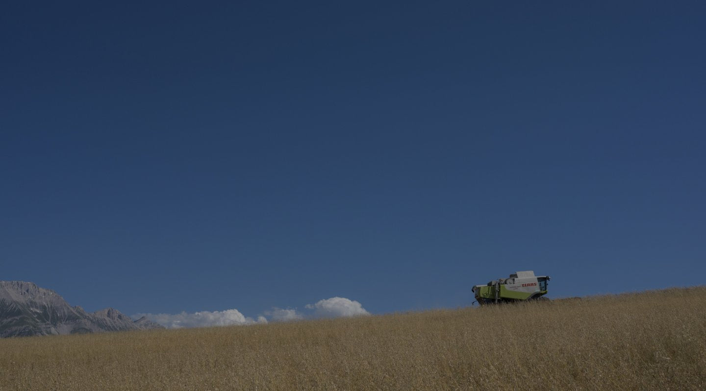 Une image de champ de blé, avec une moissonneuse-batteuse, ciel bleu